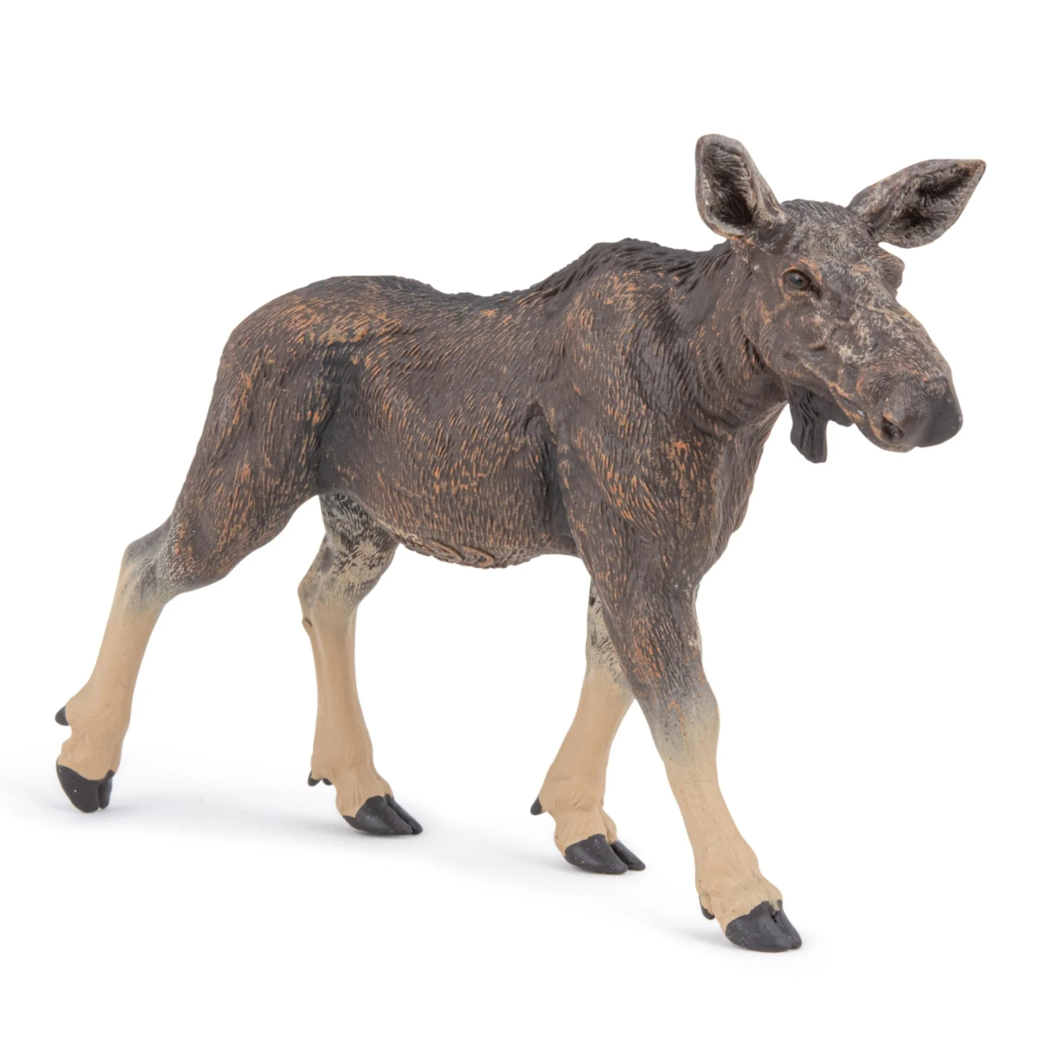 Productafbeelding 5
