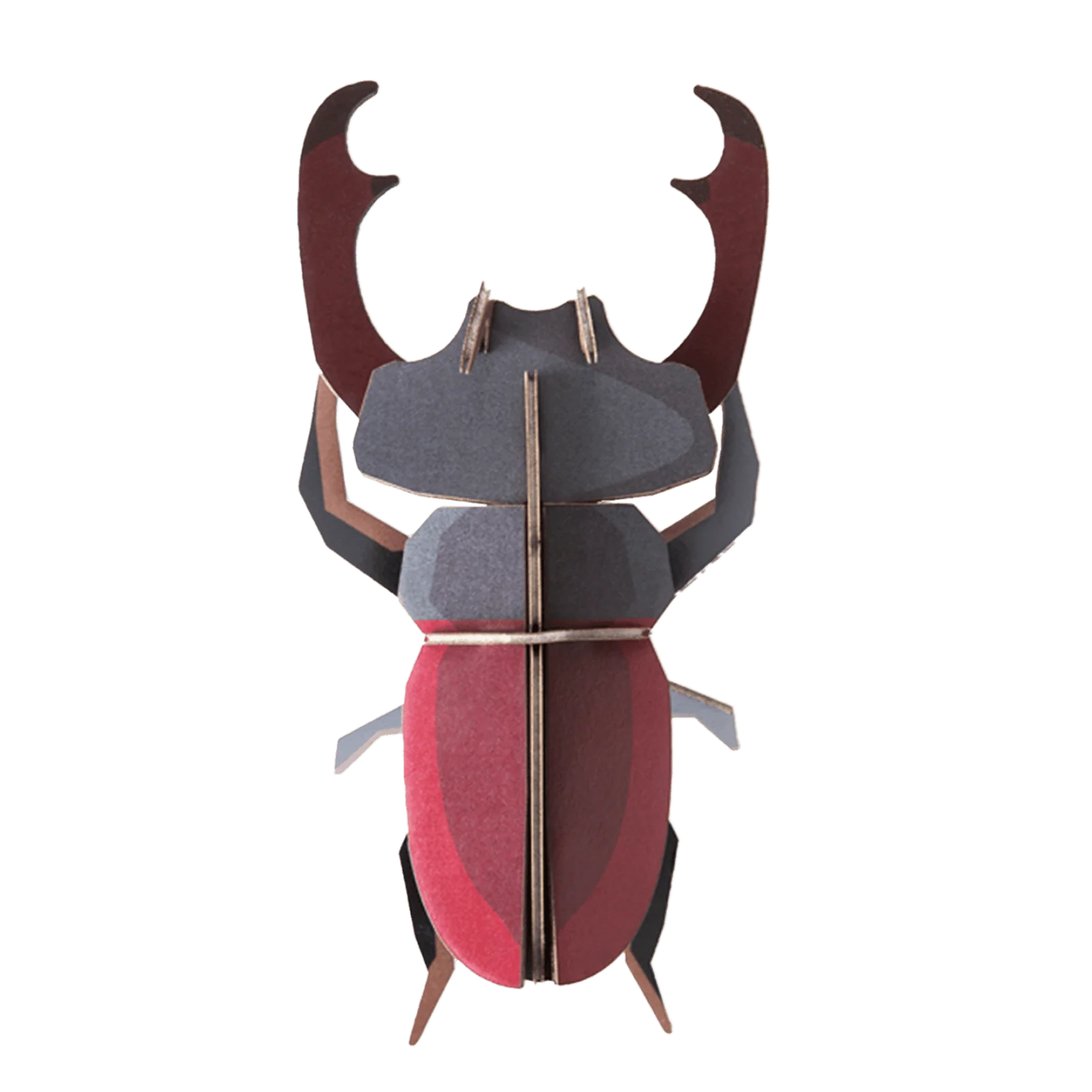 Miniatuur 1